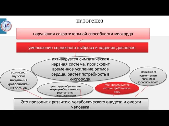 патогенез нарушения сократительной способности миокарда уменьшение сердечного выброса и падение давления. активируется