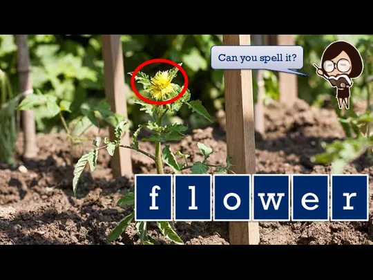 f l o w e r Can you spell it?