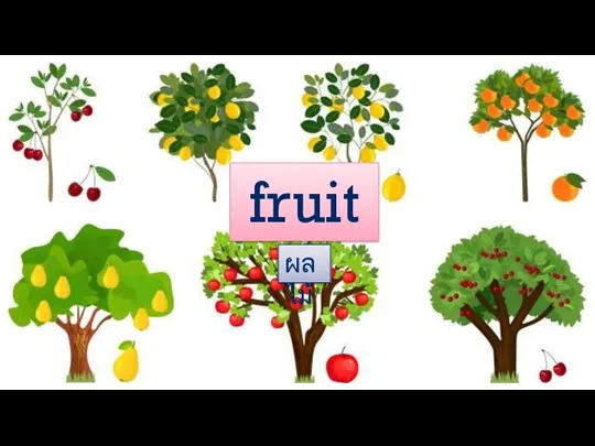 fruit ผลไม้