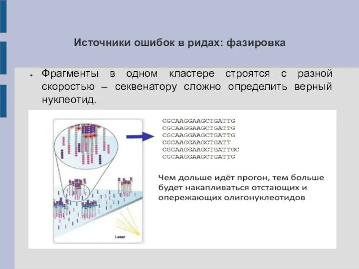 Источники ошибок в ридах: фазировка Фрагменты в одном кластере строятся с разной