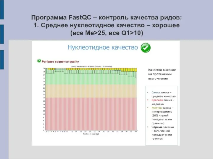 Программа FastQC – контроль качества ридов: 1. Среднее нуклеотидное качество – хорошее (все Me>25, все Q1>10)