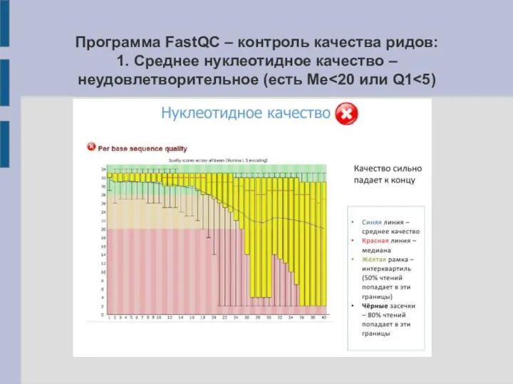 Программа FastQC – контроль качества ридов: 1. Среднее нуклеотидное качество – неудовлетворительное (есть Me