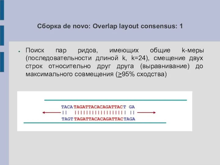 Сборка de novo: Overlap layout consensus: 1 Поиск пар ридов, имеющих общие