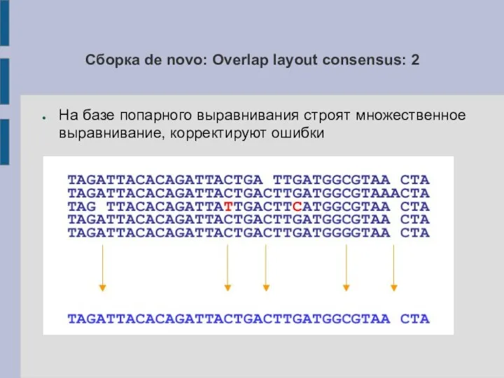 Сборка de novo: Overlap layout consensus: 2 На базе попарного выравнивания строят множественное выравнивание, корректируют ошибки