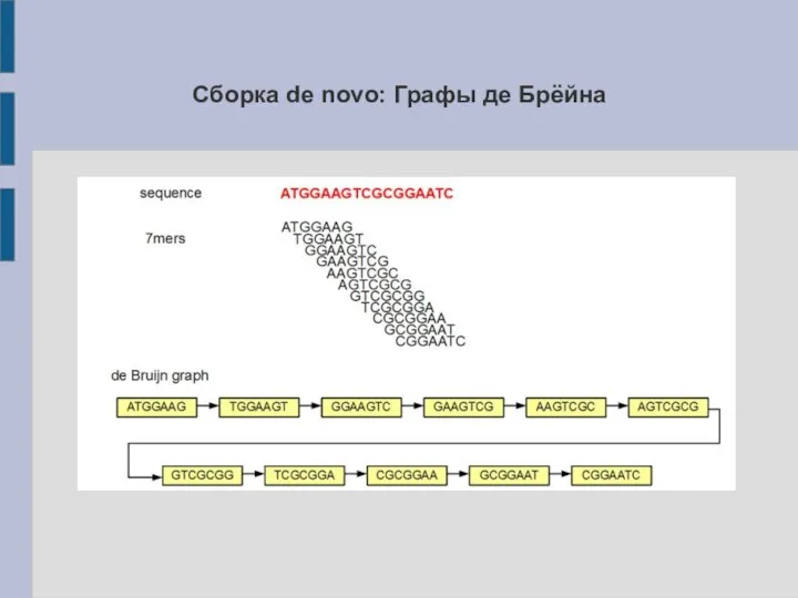 Сборка de novo: Графы де Брёйна