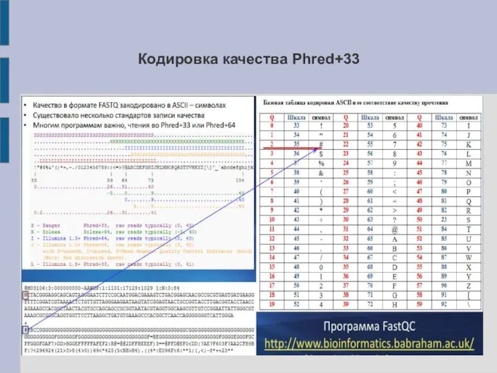 Кодировка качества Phred+33