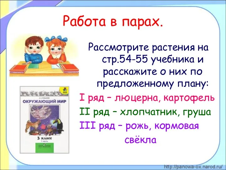 Работа в парах. Рассмотрите растения на стр.54-55 учебника и расскажите о них