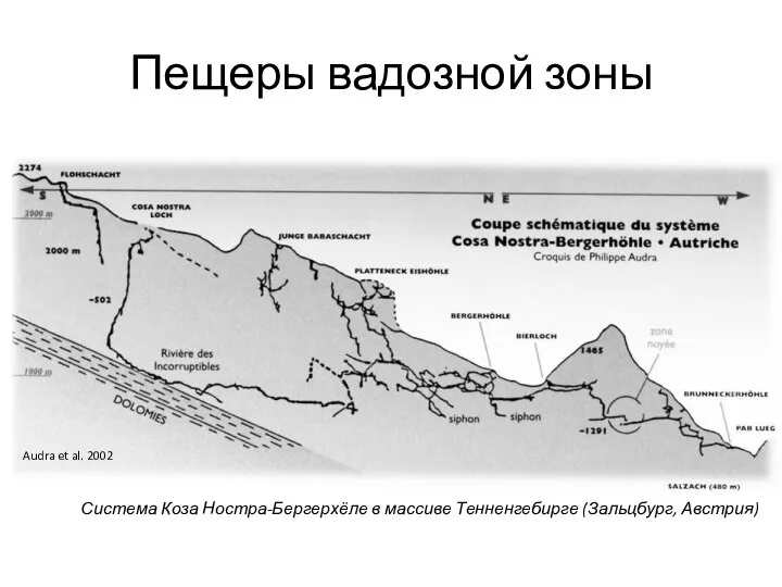 Пещеры вадозной зоны Audra et al. 2002 Система Коза Ностра-Бергерхёле в массиве Тенненгебирге (Зальцбург, Австрия)