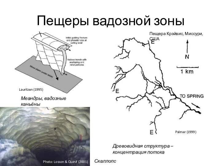 Пещеры вадозной зоны Древовидная структура – концентрация потока Меандры, вадозные каньёны Palmer
