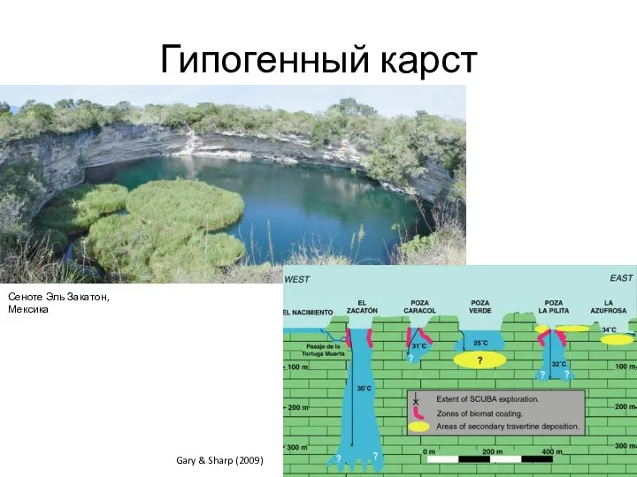 Гипогенный карст Сеноте Эль Закатон, Мексика Gary & Sharp (2009)