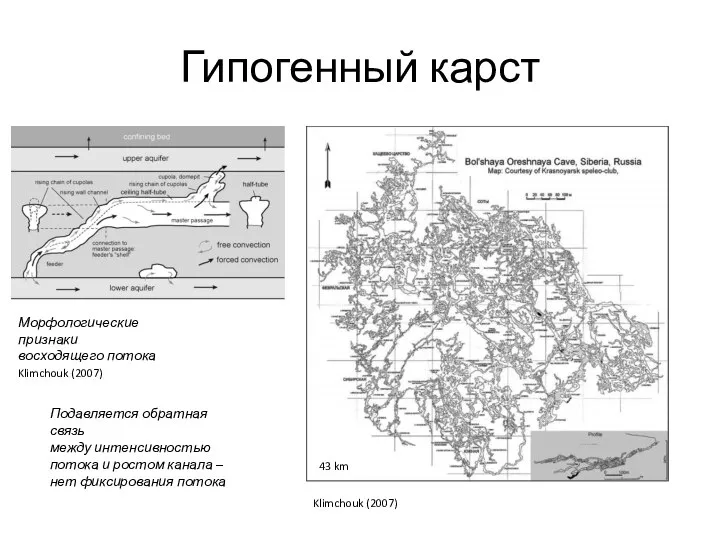 Гипогенный карст Klimchouk (2007) Морфологические признаки восходящего потока Klimchouk (2007) Подавляется обратная