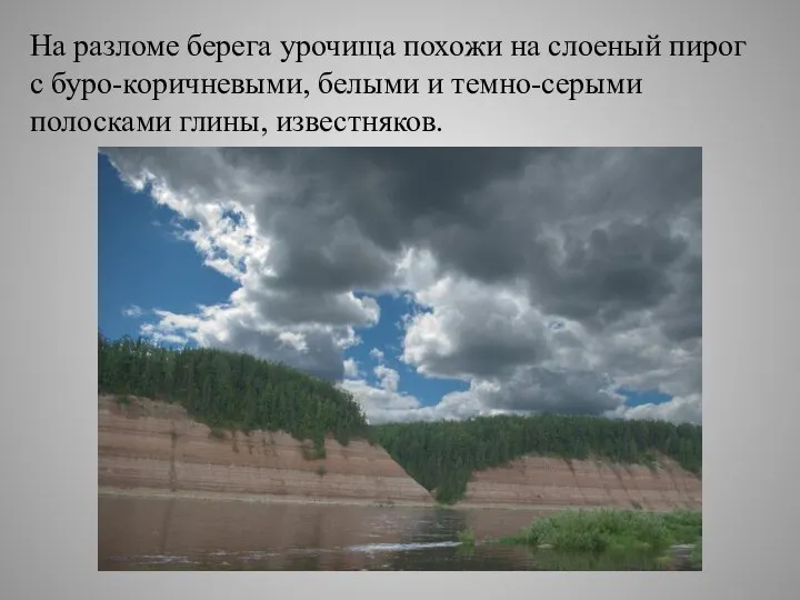 На разломе берега урочища похожи на слоеный пирог с буро-коричневыми, белыми и темно-серыми полосками глины, известняков.