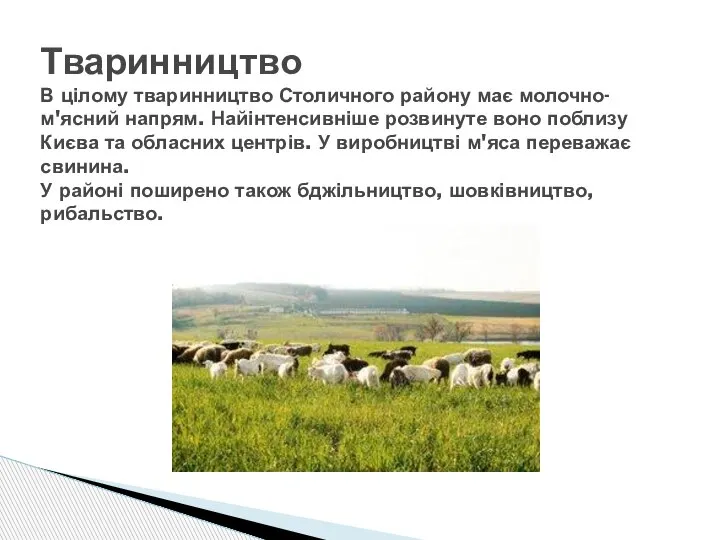 Тваринництво В цілому тваринництво Столичного району має молочно-м'ясний напрям. Найінтенсивніше розвинуте воно