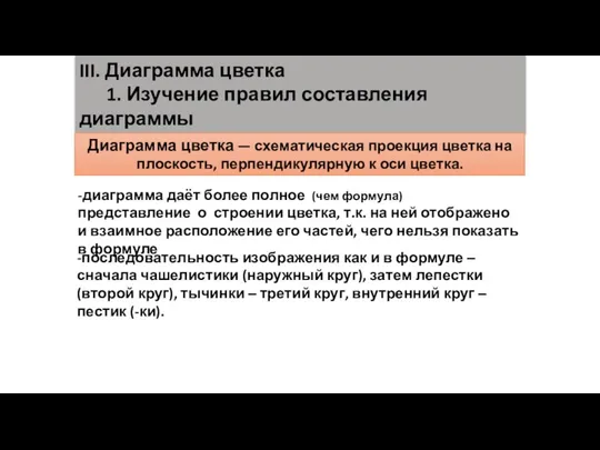 III. Диаграмма цветка 1. Изучение правил составления диаграммы цветка Диаграмма цветка —