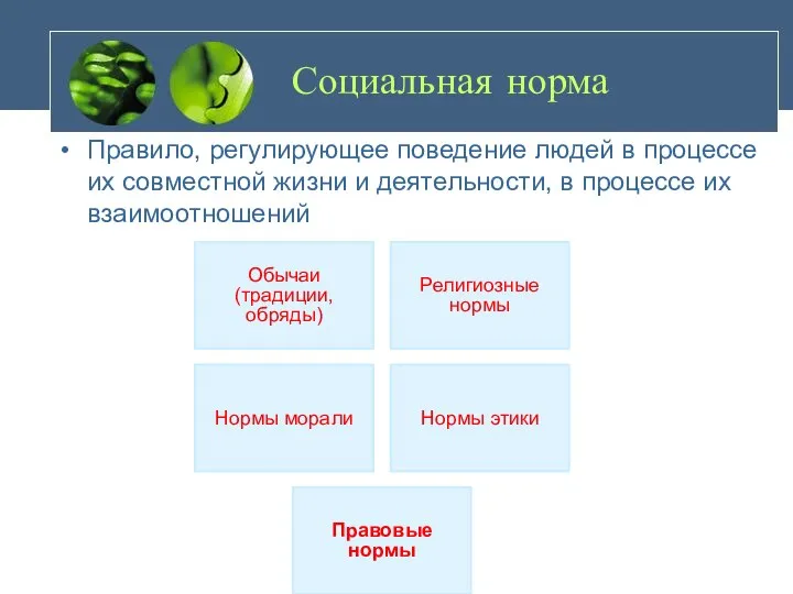 Социальная норма Правило, регулирующее поведение людей в процессе их совместной жизни и