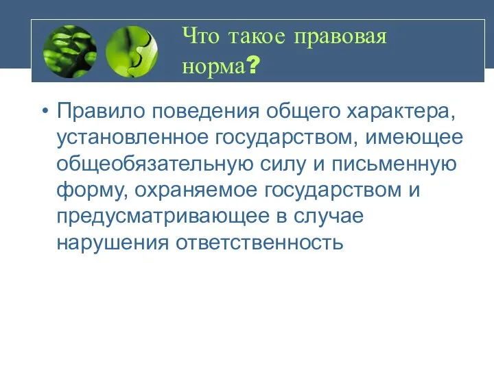 Что такое правовая норма? Правило поведения общего характера, установленное государством, имеющее общеобязательную