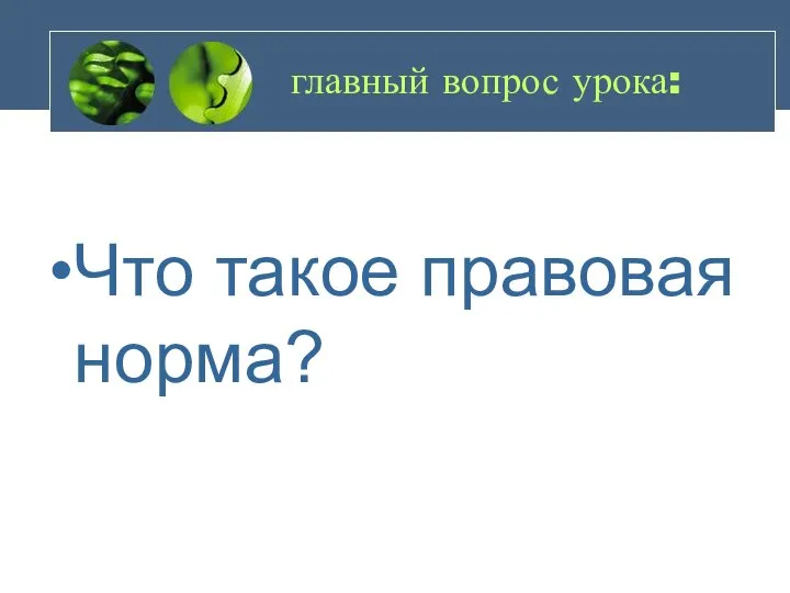 главный вопрос урока: Что такое правовая норма?