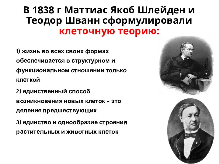 1) жизнь во всех своих формах обеспечивается в структурном и функциональном отношении