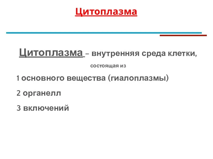 Цитоплазма – внутренняя среда клетки, состоящая из 1 основного вещества (гиалоплазмы) 2 органелл 3 включений Цитоплазма