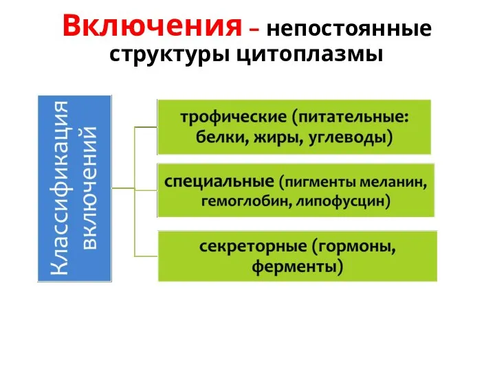 Включения – непостоянные структуры цитоплазмы