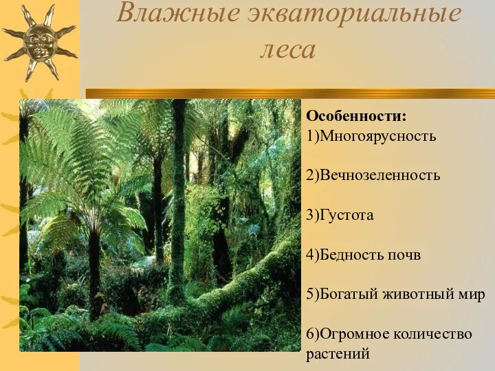 Влажные экваториальные леса Особенности: 1)Многоярусность 2)Вечнозеленность 3)Густота 4)Бедность почв 5)Богатый животный мир 6)Огромное количество растений