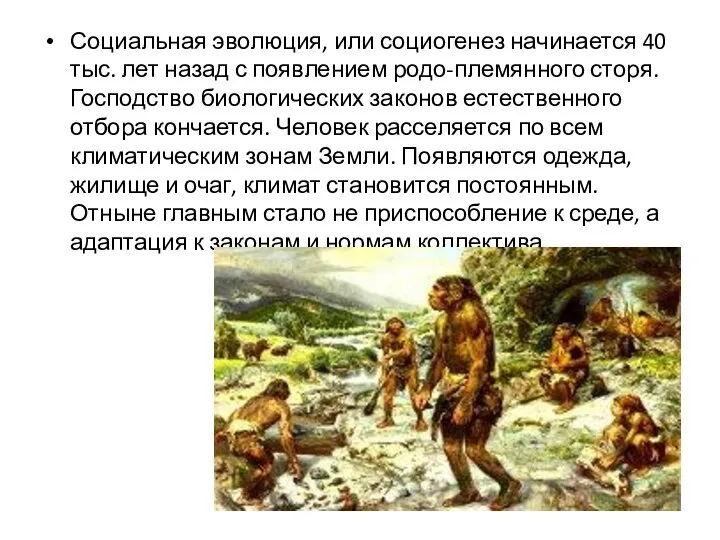 Социальная эволюция, или социогенез начинается 40 тыс. лет назад с появлением родо-племянного