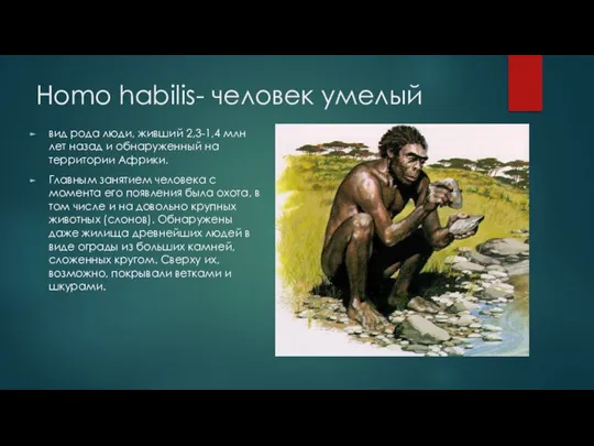 Homo habilis- человек умелый вид рода люди, живший 2,3-1,4 млн лет назад