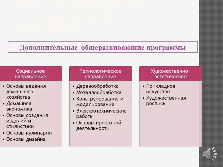 МБОУ «МЕЖШКОЛЬНЫЙ УЧЕБНЫЙ КОМБИНАТ» Г.МИЧУРИНСК Дополнительные общеразвивающие программы