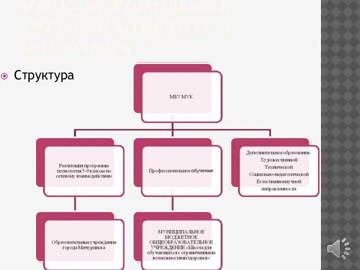 МБОУ «МЕЖШКОЛЬНЫЙ УЧЕБНЫЙ КОМБИНАТ» Г.МИЧУРИНСК Структура