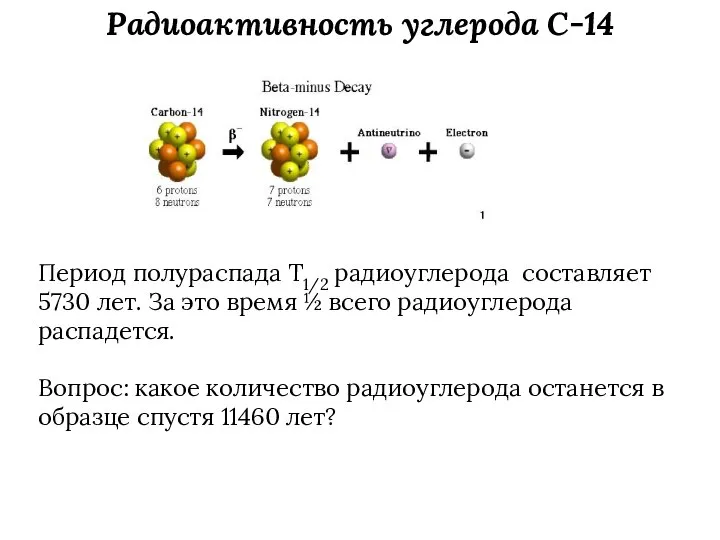 Радиоактивность углерода C-14 Период полураспада T1/2 радиоуглерода составляет 5730 лет. За это