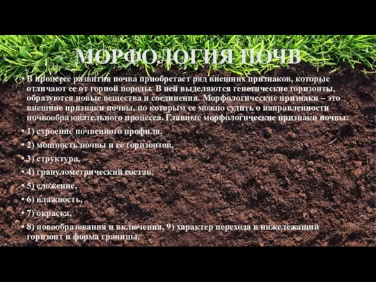 МОРФОЛОГИЯ ПОЧВ В процессе развития почва приобретает ряд внешних признаков, которые отличают