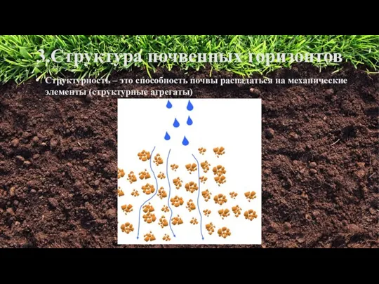 3.Структура почвенных горизонтов Структурность – это способность почвы распадаться на механические элементы (структурные агрегаты)