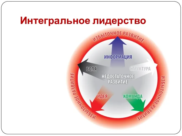 Интегральное лидерство