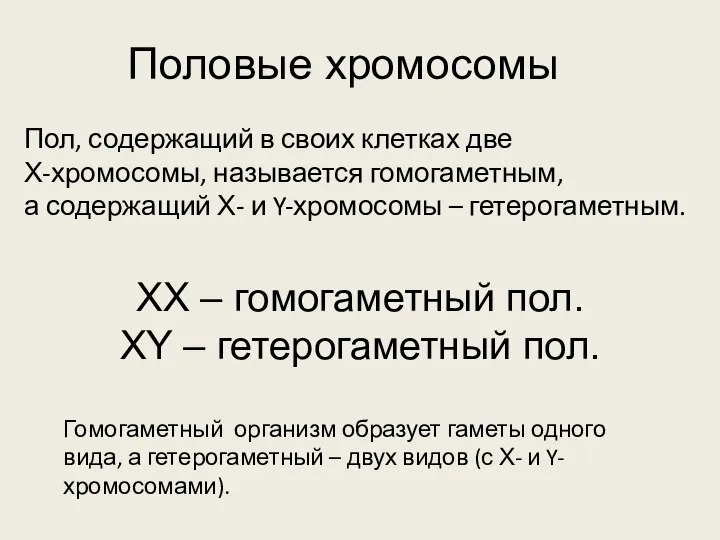 Половые хромосомы Пол, содержащий в своих клетках две Х-хромосомы, называется гомогаметным, а