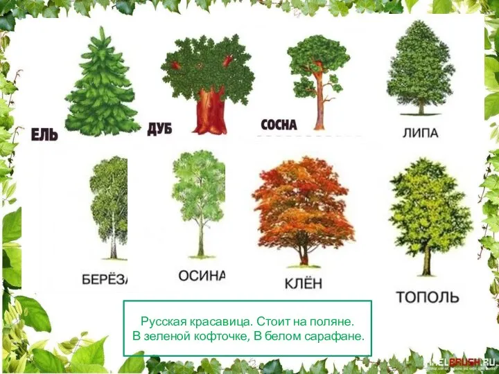 Русская красавица. Стоит на поляне. В зеленой кофточке, В белом сарафане.