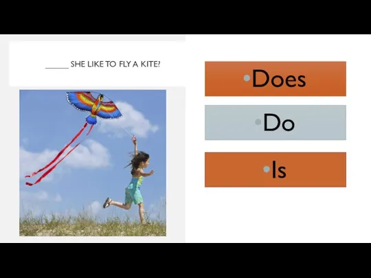 _____ SHE LIKE TO FLY A KITE? Do Is Does