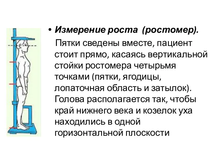 Измерение роста (ростомер). Пятки сведены вместе, пациент стоит прямо, касаясь вертикальной стойки