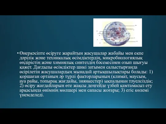 Өнеркәсіпте өсіруге жарайтын жасушалар жабайы мен екпе дәрілік және техникалық өсімдіктердің, микробиологиялық