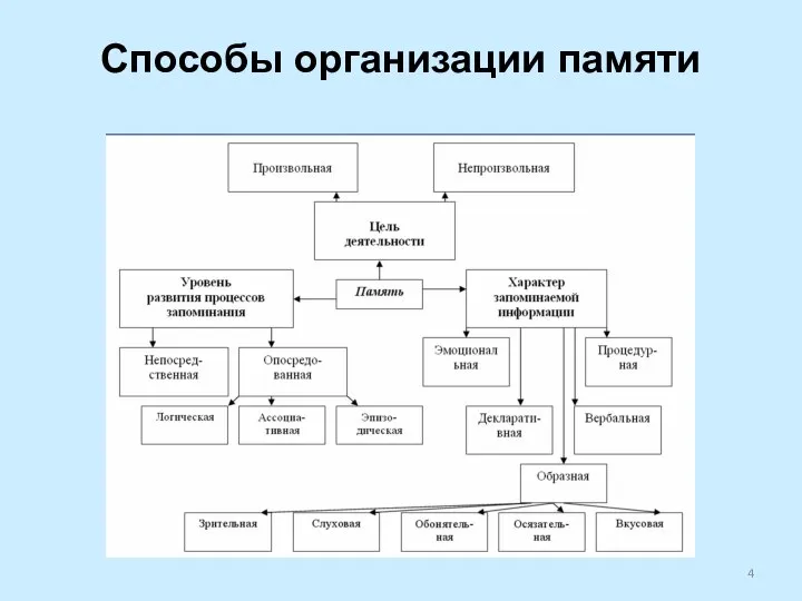 Способы организации памяти