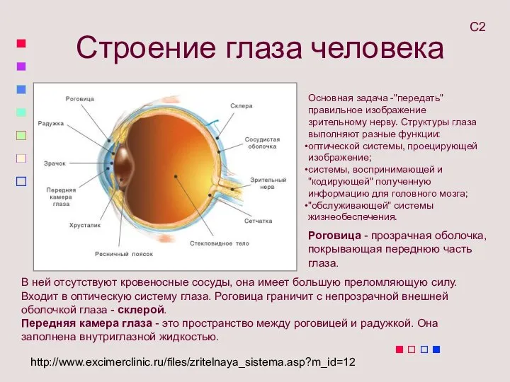 Основная задача -"передать" правильное изображение зрительному нерву. Структуры глаза выполняют разные функции: