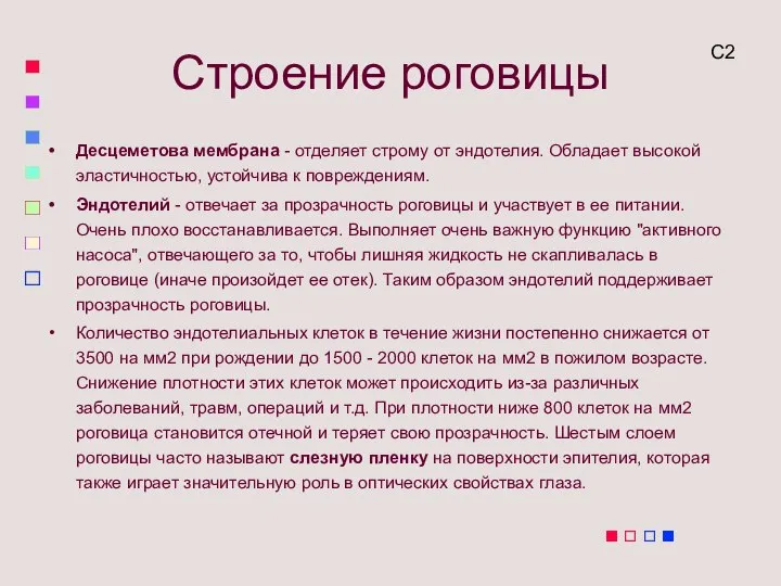 Десцеметова мембрана - отделяет строму от эндотелия. Обладает высокой эластичностью, устойчива к