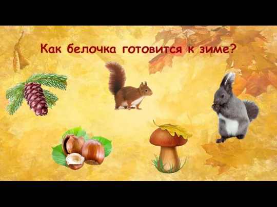 Как белочка готовится к зиме?