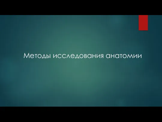 Методы исследования анатомии