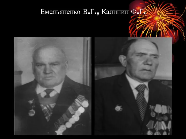 Емельяненко В.Г., Калинин Ф.Г.