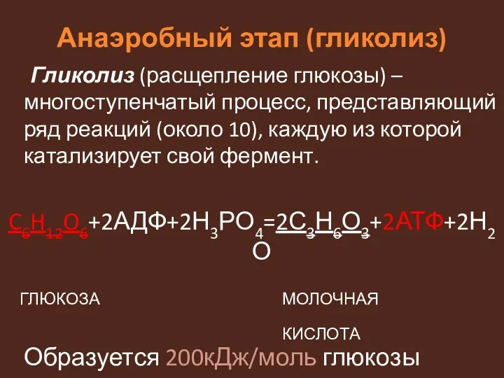 Анаэробный этап (гликолиз) Гликолиз (расщепление глюкозы) – многоступенчатый процесс, представляющий ряд реакций