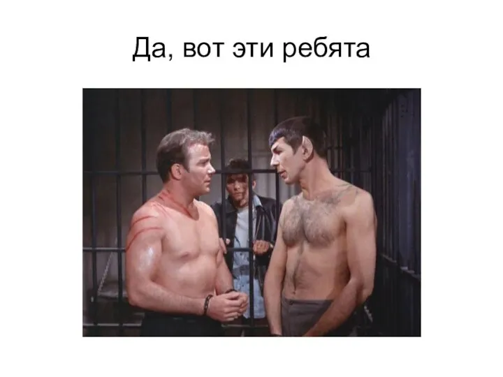 Да, вот эти ребята