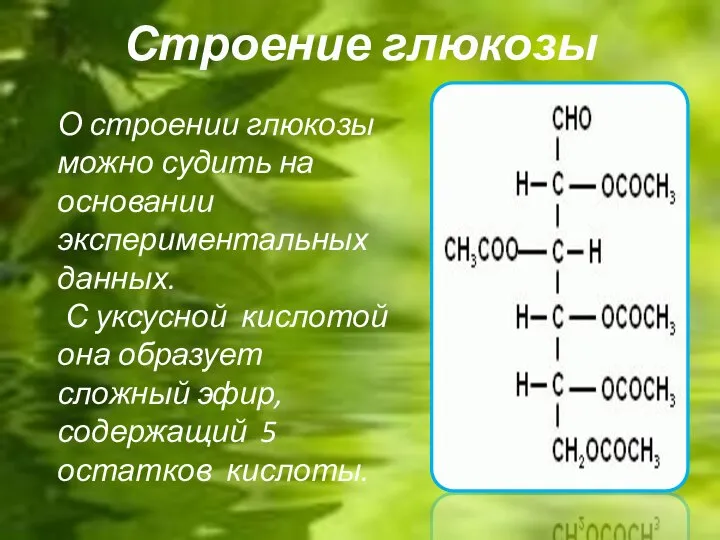 Строение глюкозы О строении глюкозы можно судить на основании экспериментальных данных. С