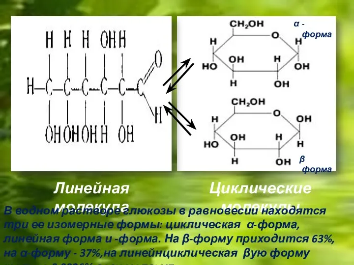 Линейная молекула Циклические молекулы В водном растворе глюкозы в равновесии находятся три