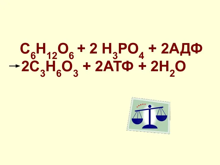 С6Н12О6 + 2 Н3РО4 + 2АДФ 2С3Н6О3 + 2АТФ + 2Н2О