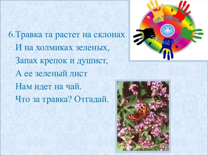 6.Травка та растет на склонах И на холмиках зеленых, Запах крепок и